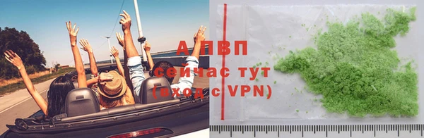 стаф Абаза