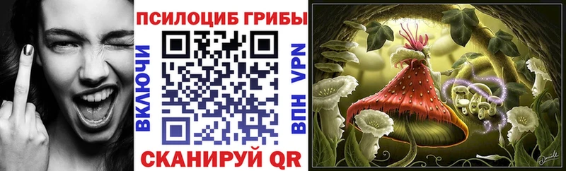 Галлюциногенные грибы Psilocybe  Кумертау 